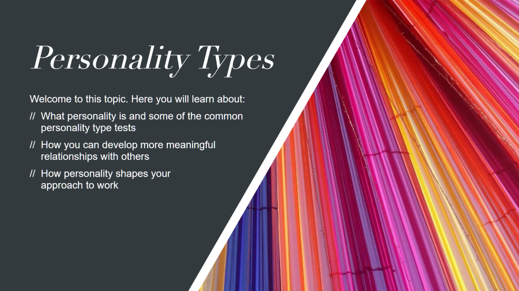 RoS_Personality_Types_by_Digital_Bricks